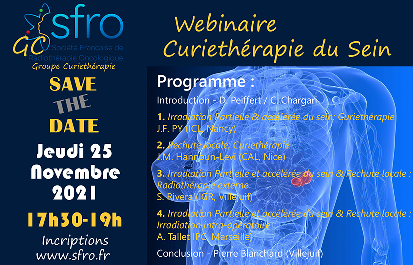 Flyler WebinaireSeinProgrammev2 leger
