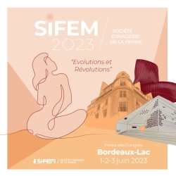 SiFEM 2023
