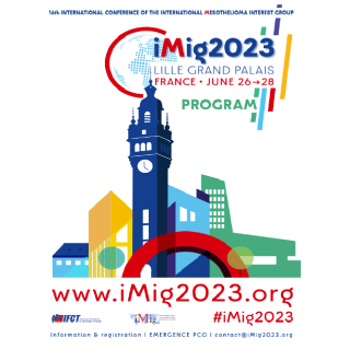 International Conférence of the International Mesothelioma Interest Group